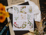 OURS Stamp Sticker Set - New Wild Plants (2 pieces)