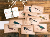Picture Book Style Message Cards with a Case / Birds