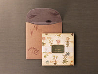 Picture book Style memo note paper set with case / Alpine Plants