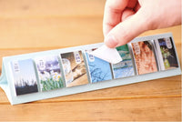 Pre-order 2024 Himekuri Sticky Calendar / Memory