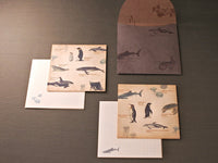 Picture book Style memo note paper set with case / Sea Creatures