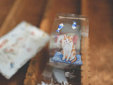 Sonia PET Tape / Cat Life