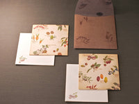 Picture book Style memo note paper set with case / Tree Nuts