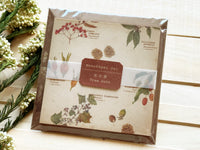 Picture book Style memo note paper set with case / Tree Nuts