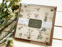 Picture book Style memo note paper set with case / Alpine Plants