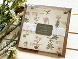 Picture book Style memo note paper set with case / Alpine Plants