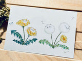 Tocorocomugi Postcard