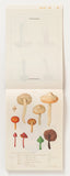 100 Letter Book / Antique Mushroom Illustrations