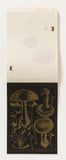 100 Letter Book / Antique Mushroom Illustrations