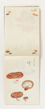 100 Letter Book / Antique Mushroom Illustrations