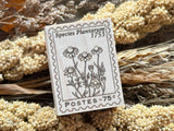 Japanese Wooden Rubber Stamp / Chamomile Stamp