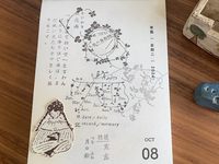Hanen Studio x  Kaia Rubber Stamps / Freckles Girl 5