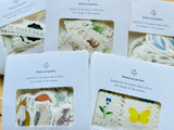 Hutte Paper Flake Sticker Pack / Botanical Illustrations