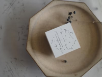 Hanen Studio x hase Stamp Set / 24 Solar Terms