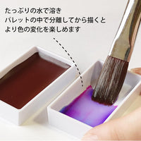 KURETAKE Gansai Tambi 5 Color Watercolor Palette - Granulating Colors