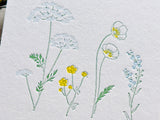 High Quality Botanical Garden Letterpress Postcard / Spring Wildflowers