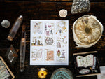 OURS Stamp Sticker Set - Desk of Botanist (2 pieces)