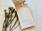 Kano Hirabayashi Memo Pad / Antique Shop