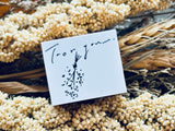 Covo Design Original Stamp / For You