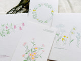 High Quality Botanical Garden Letterpress Postcard / Spring Wildflowers