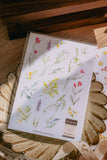 Meow Illustration / Floral Dream Transparent Sticker