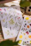 Meow Illustration / Floral Dream Transparent Sticker