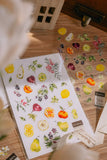 Meow Illustration / Fruity Dream Transparent Sticker