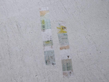 YOHAKU Limited Original Washi Tape / H-001 Sky and Earth (ソラトダイチ)