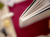 Pre-order OURS 2026 The Fortune Planner (Mid-October Delivery)