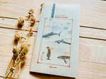 Handmade Slim Notebook / Marine Life