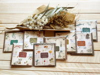 Picture book Style memo note paper set with case / Alpine Plants