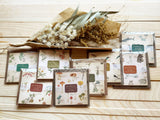 Picture book Style memo note paper set with case / Alpine Plants