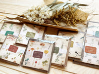 Picture book Style memo note paper set with case / Sea Creatures