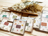 Picture book Style memo note paper set with case / Sea Creatures