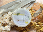 YOHAKU Original Washi Tape / Y-160 Color of Autumn (アキノイロ)
