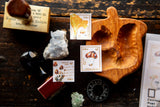 OURS Stamp Sticker Set - Mushroom Recipe (2 sheets)