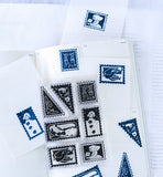 dodolulu Clear Stamp - Thinking of You