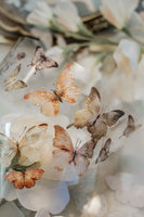 15% off - Meow Illustration / Beautiful Butterfly Glossy PET tape with Iridescent