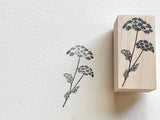 Japanese Botanical Wooden Rubber Stamp / White Lace Flower