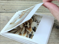 Polaroid Photo Card Memo Pad - Beige