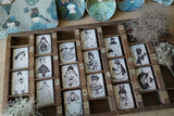 Hanen Studio x  Kaia Rubber Stamps / Freckles Girls (Set of 10+1 bonus piece)