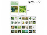 Polaroid Photo Card Memo Pad - Green