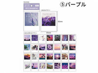 Polaroid Photo Card Memo Pad - Purple