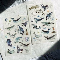 Pion Print-on Sticker / Whale