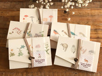 Picture Book Style Message Cards with a Case / Mushroom