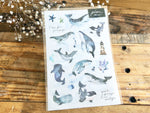 On Sale - Pion Print-on Sticker / Whale