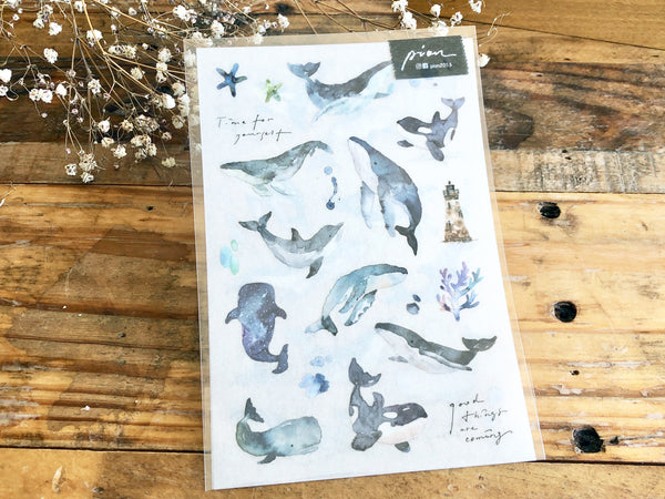 On Sale - Pion Print-on Sticker / Whale