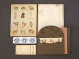 Picture book Style letter set / Forest Animals