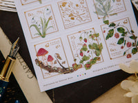 OURS Stamp Sticker Set - New Wild Plants (2 pieces)