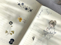 Pion Print-on Sticker / Sketch Girls